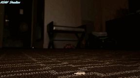 Giant Goddess FBC uanaware of you shrunk at her feet Part 3 - MOV
