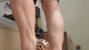 Leopard Heel Slide Show WMV