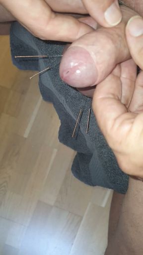 Needles in testicles and glans   Clip 1
