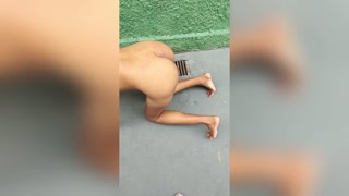 A happy little dog drinking water, peeing and walking with her owner around the yard