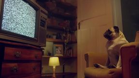 BENEFIT MONKEY: Mind-Blowing Oral Compilation &ndash_ The Hottest Blowjob Scenes !