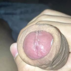 My Cock is gripping wants some pussy to put it i.