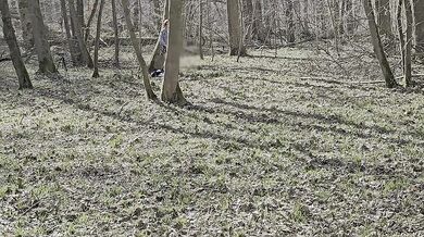 Je baise une inconnue exhib en foret