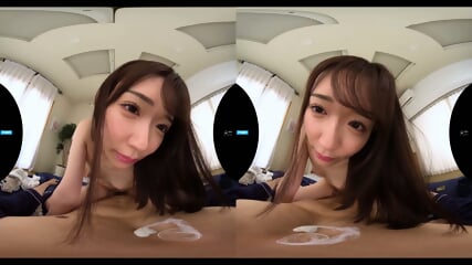 test-IPVR-311(fill)-