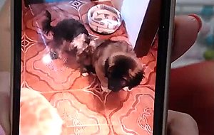 Big mature pussy on cam