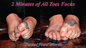 2 Minute All Toes BBW Oily Foot Worship POV Slow Motion - Watch as The Glitter and Oil Shimmer All Over My Perfectly Pedicured Toes - No Talking