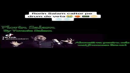 Florin Salam caltor pe drum de vata