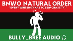 BNWO The Natural Order Audio