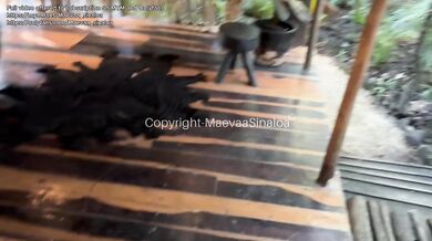 VLOG TULUM - Risky fuck on the terrace of my hotel room