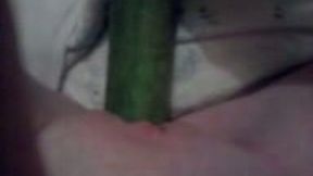 Kinky amateur webcam teen drilled her own pussy with cucumber
