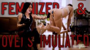 FEMINIZED, OVERSTIMULATED