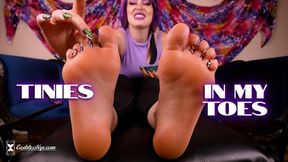 Tinies In My Toes