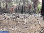 Risky naked hiking on the sunset! Almost get caught! Perfect ass man