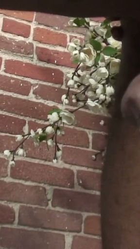 Big Dick Ebony Stud Finds His First Black Hole   Clip 3