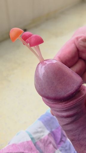Mushroom cock cums