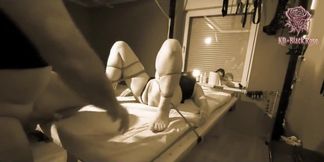 BDSM Content