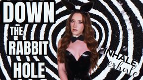 DOWN THE RABBIT HOLE