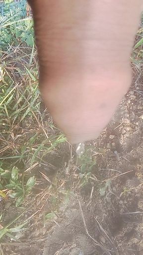 Contact me to get, it's 8 inches.