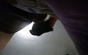 Oregonleatherboy Gooning Horny Boner Wearing Black Leather Gloves POV