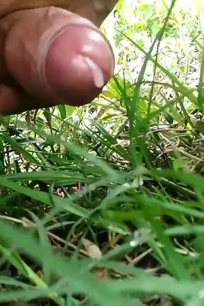 Handjob in Grass Field and Cumshot Big Cock