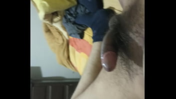 Paja boliviana 1 , la paz bolivia