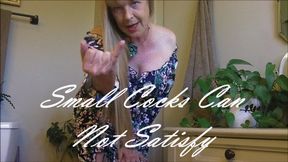 SMALL COCKS CAN NOT SATISFY wmv