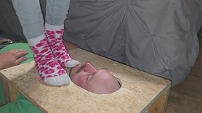 Chrissy fuzzy socks face trample