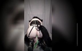 Hentai Furry Kigurumi Kittie