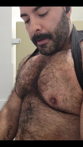 Solo Bear