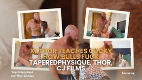 XL Thor Teaches Cucky How Bulls Fuck- Taperedphysique, Thor, CJ Films copy