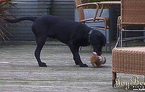 Joybear amazing megan coxxx likes creampie