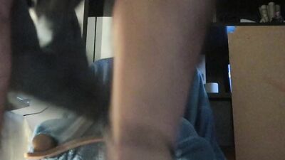Anal Control