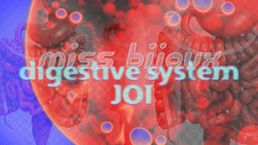 DIGESTIVE System JOI (HD Visualizer)