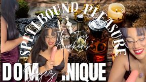 Spellbound Pleasure: The Toy Awakens