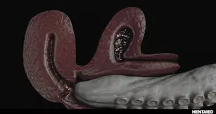 Monster cock compilation featuring huge cumflation and extreme BDSM