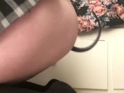 Puppy wags and paws at you