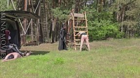 Bullwhip and Cane Cracks in the Forest - 06