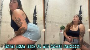 Farts that stink up the bathroom