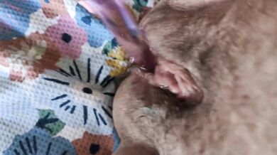 BBW Solo Squirt Dildo Moaning In Water Park