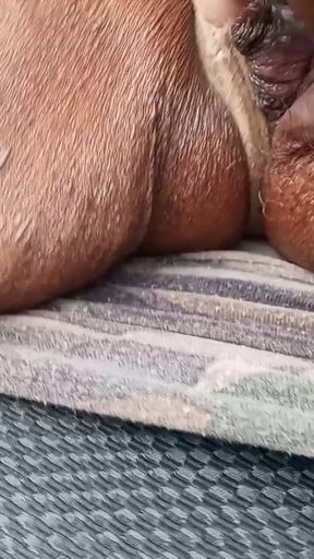 Stunning moment from "Dogging By The Bridge"