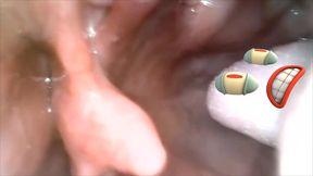 Vore trip for an alien gummy