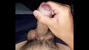 Paja de jovencito