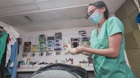 Naughty and Nice Dentists