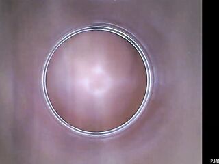 Kira - Kinky Selfie (endoscope Twat Webcam Movie scene)