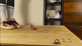 Adidas Campus Cock Trampling I Lady Thaya