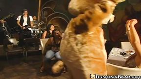 ”Dancing Bear Strip Show”