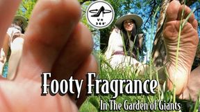 Footy Fragrance in the Garden of Giants: You Sniff And Worship Stella Liberty's Giantess Feet - VR MP4