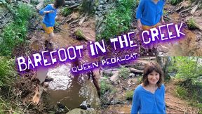 Barefoot in Sweetwater Creek