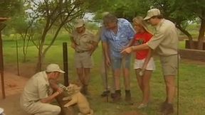 Safari extreme love