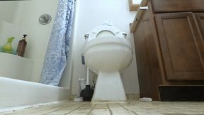 Giantess - You are but a Speck, a mere blip in a Giantess World POV, toilet fetish, Shrinking fetish  1080